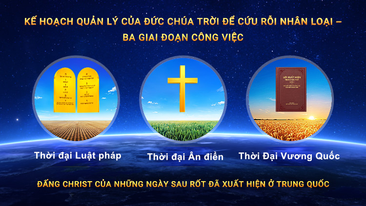 banner-home-13-mb 1 giáo dân là nạn nhân của tà đạo mới - lên tiếng vạch trần chiêu thức dụ dỗ