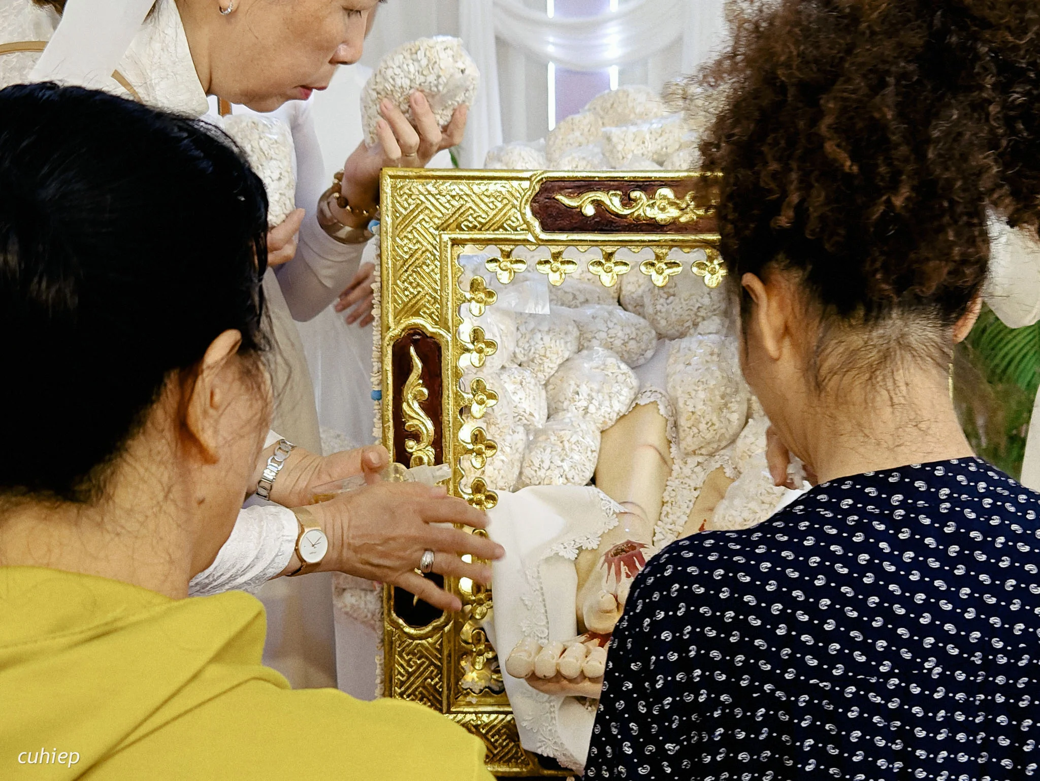 6389052_img_20230408_084143 6389052 IMG 20230408 084143